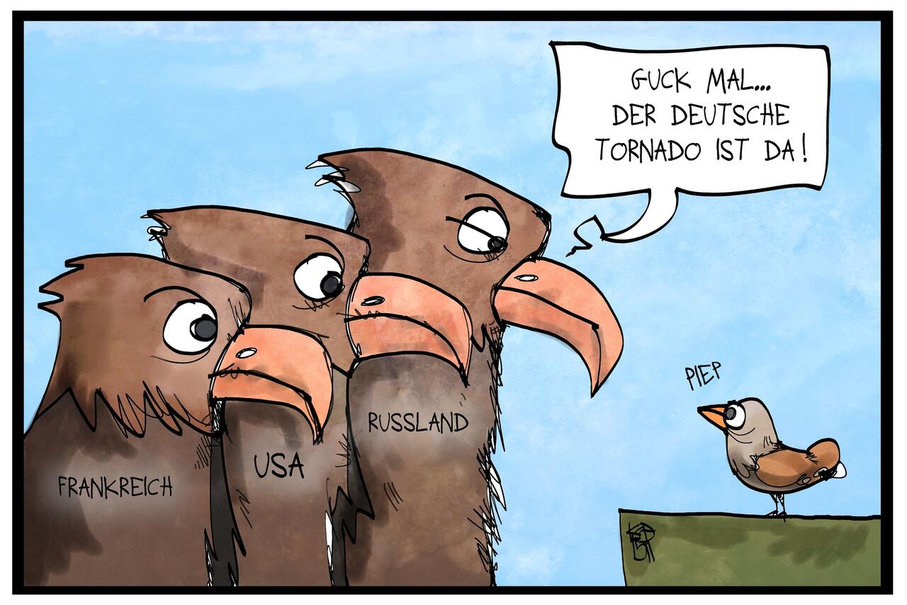 Bild zu Karikatur Bundeswehr