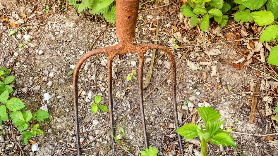 Mann soll Pferde mit Mistgabel gequält haben.