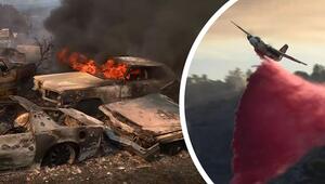 Evakuierung nahe San Diego: Wieder wüten Feuer in Kalifornien