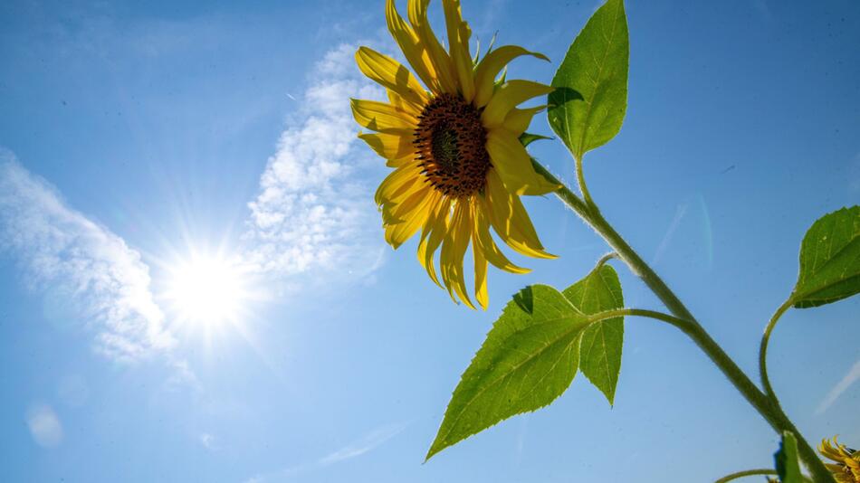 Sommerwetter