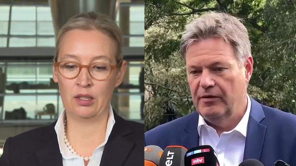 Habeck will nicht an TV-Duell mit Alice Weidel teilnehmen