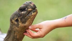 Auch Zoos haben ein Problem mit Überalterung