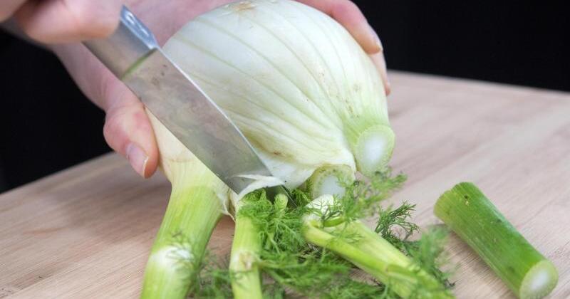 Die Erhöhung des Penis von der Chirurgie