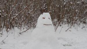 Winter zieht nach Norden - danach wird es mild