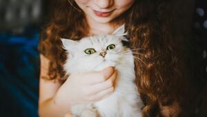 In Bayern gibt es mehr Katzen als Kinder.