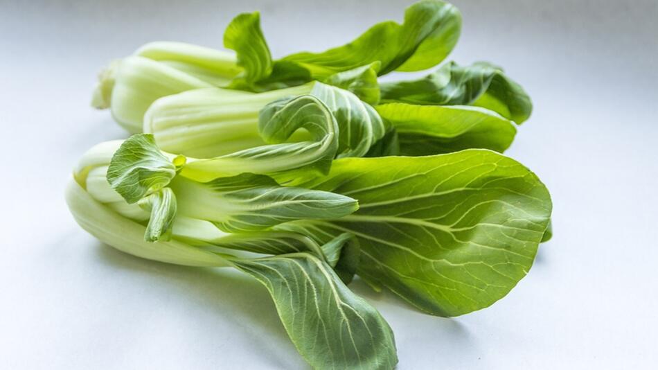 Pak Choi gesund