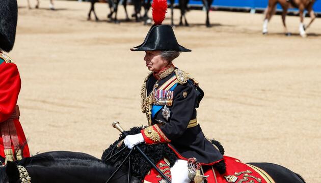 Prinzessin Anne ist derzeit beliebter als alle anderen Mitglieder des britischen Königshauses.