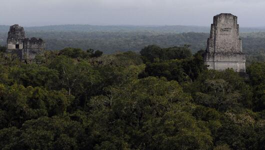Fast 3.000 Jahre alte Maya-Stätte in Guatemala entdeckt