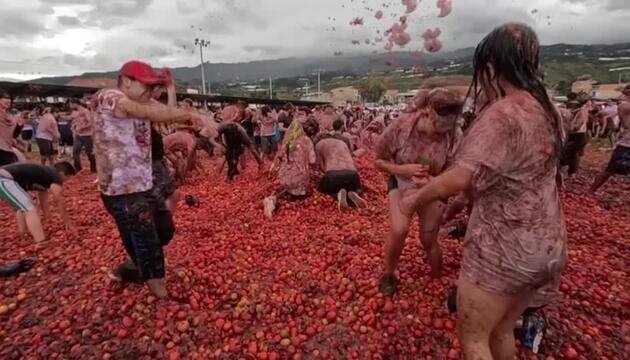 Dort, wo die Tomaten fliegen