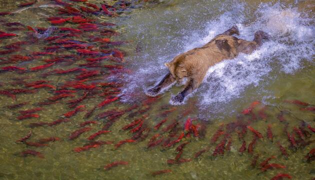 reFocus Awards, Color Photography