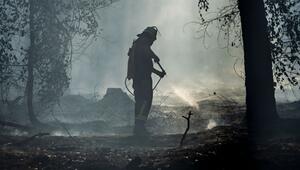 Waldbrand in Hessen