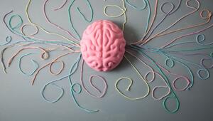 Symbolbild Gehirn