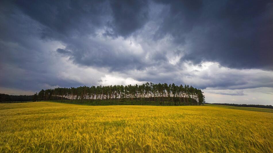 Wetter, aktuell, Deutschland