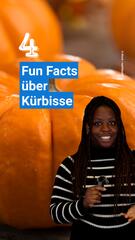 Fun Facts über Kürbisse