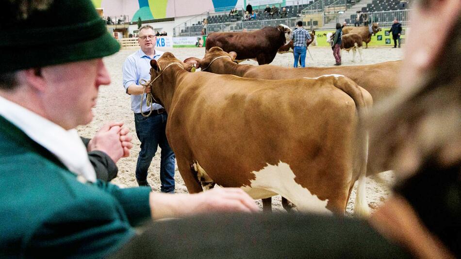 Grüne Woche