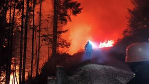Waldbrand im Kärntner Lesachtal