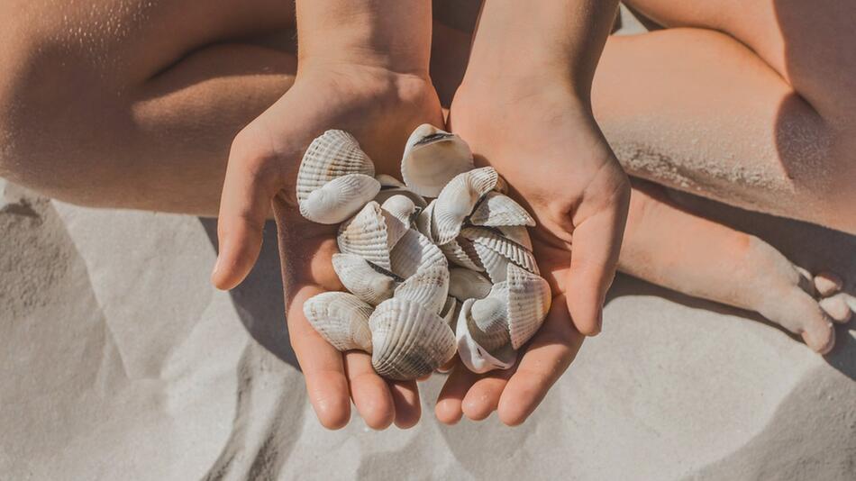 Muscheln sind ein beliebtes Urlaubssouvenir - doch nicht überall darf man sie sammeln.