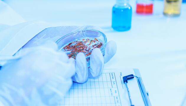 Hirnorganoide, Wissenschaft, Medizin