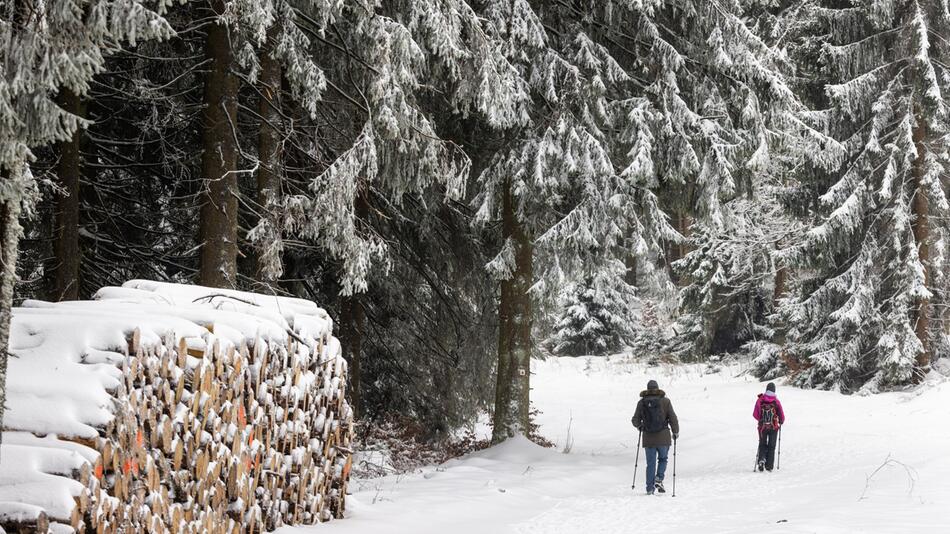 Winterwetter im Thüringer Wald