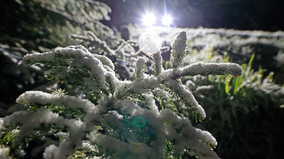 Neuschnee im Oberharz und auf dem Brocken