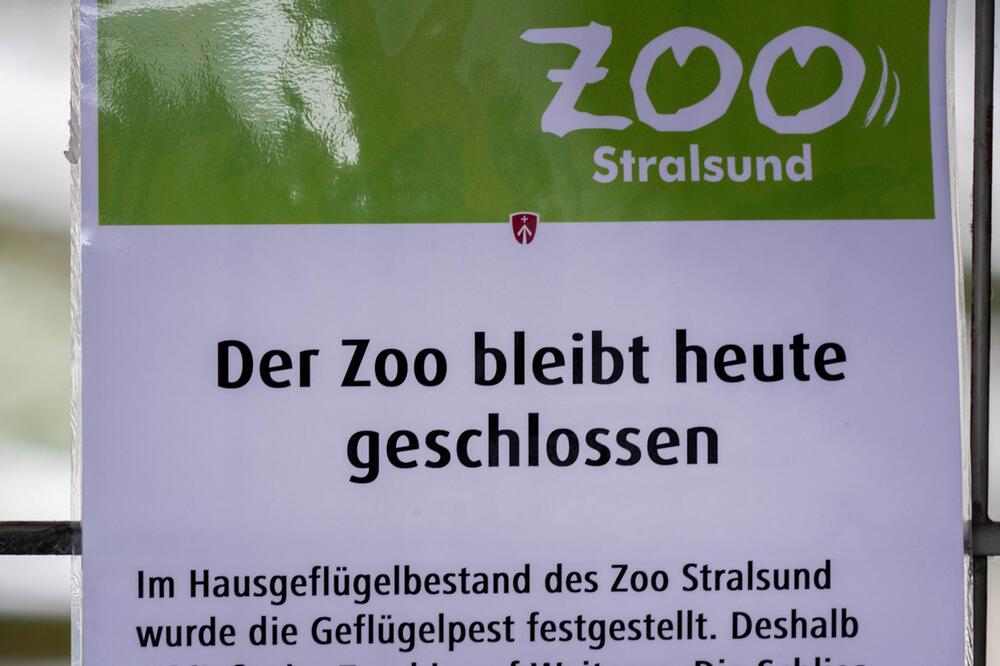 Zoo Stralsund wegen Geflügelpest geschlossen