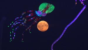 St. Peter-Ording: Drachenfest bei Vollmond - Wenn der Himmel zu leuchten beginnt