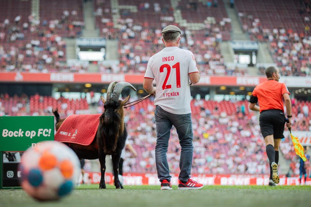 1. FC Köln - Hertha BSC
