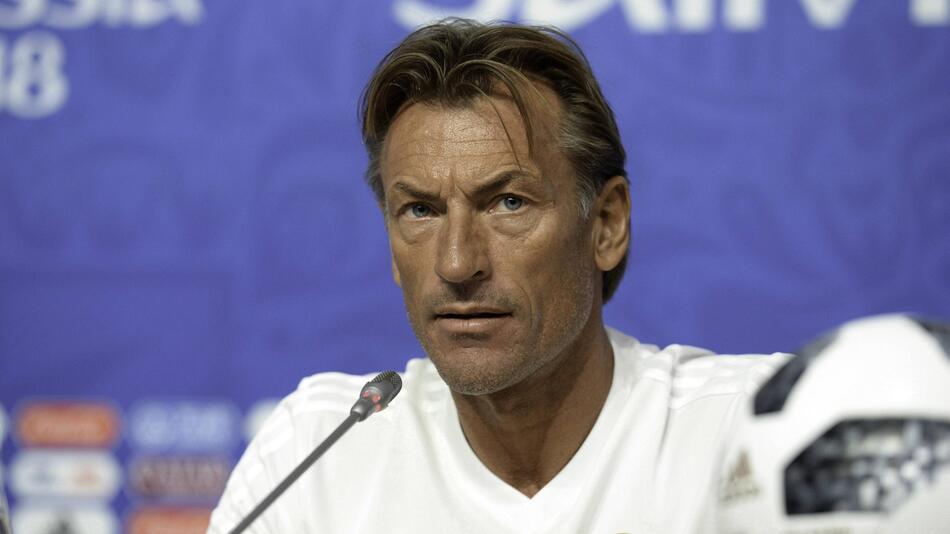 Hervé Renard, Nationalmannschaft, WM, Fussball