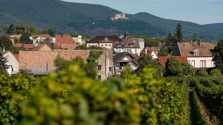 Neustadt an der Weinstraße