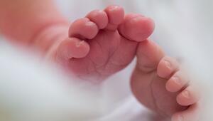 Illustration - Geburten