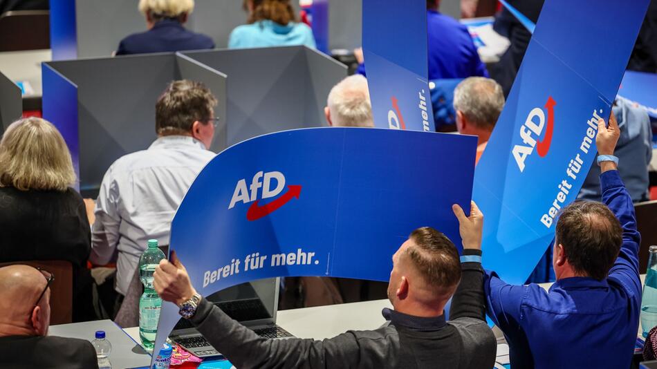 Landesparteitag AfD Sachsen in Glauchau