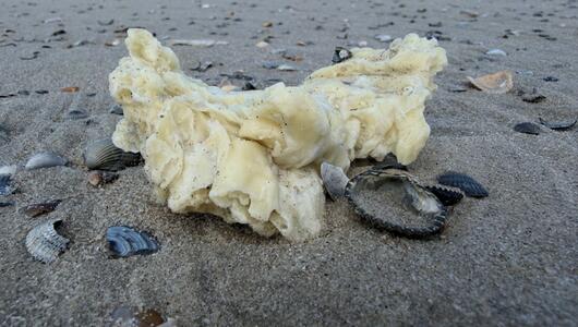 Weiße Klumpen an Stränden von Nordseeinseln angespült