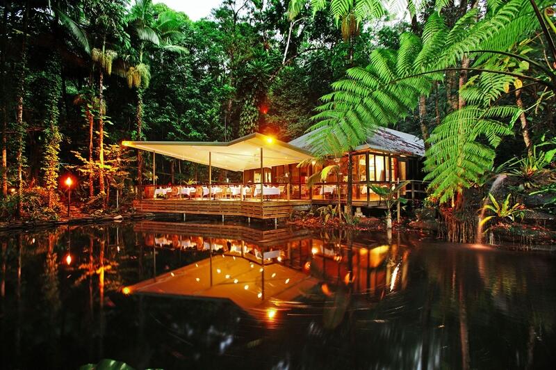 jungle safari hotel