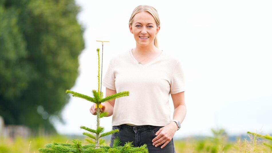 Saskia lädt zwei Männer auf ihre Weihnachtsbaumfarm.