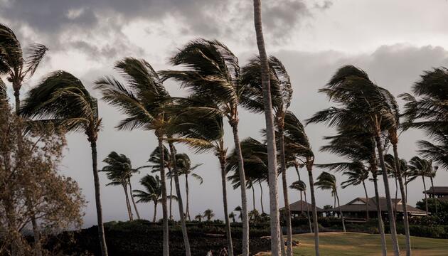 Hurrikanwarnung auf Hawaii: Sturm "Lala" nähert sich