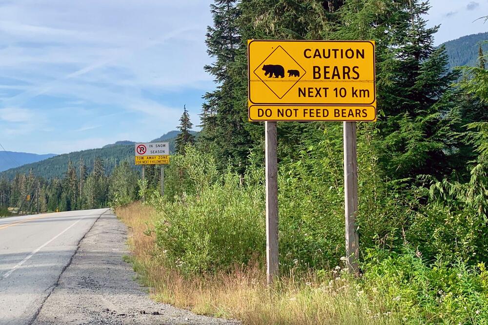 Schild in Whistler weist auf Bären hin