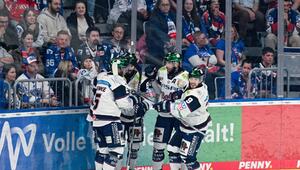 Adler Mannheim - Eisbären Berlin