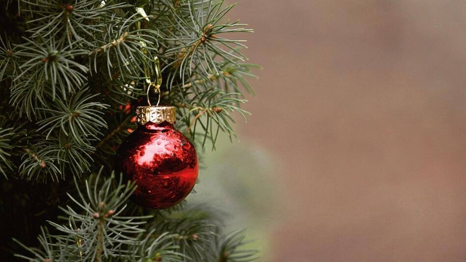 Weihnachtsbaum aufstellen