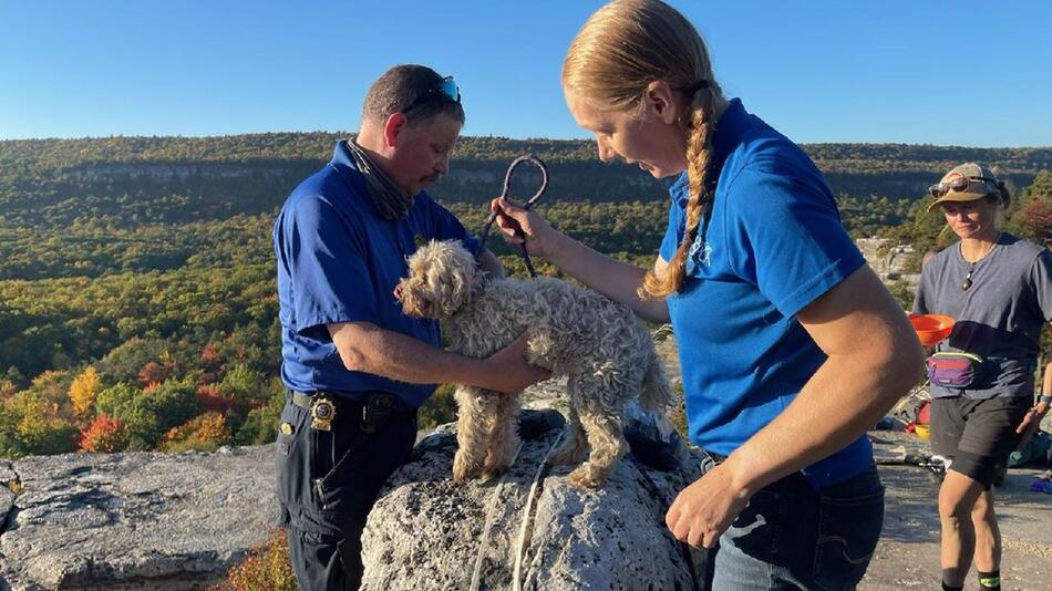USA: In Felsspalte gefangener Hund nach fünf Tagen gerettet