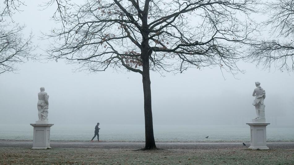 Frost und Nebel in Kassel