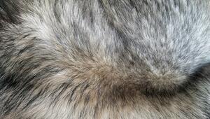 pelz kunstpelz fell kunstfell