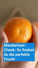 Sind die Mandarinen frisch? So erkennst du es