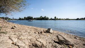 "Ebbe" im Eicher See