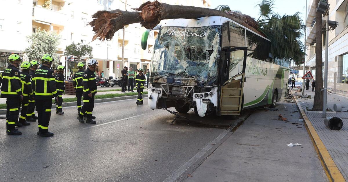 Een bus rijdt over een groep voetgangers in Spanje: drie doden