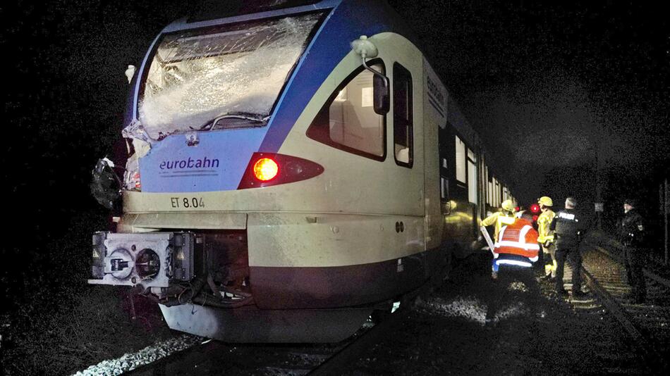 Regionalexpress kollidiert mit Baum