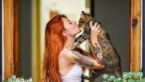 Katze, Frau, Fenster