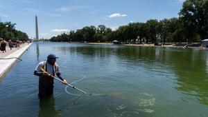 Reflecting Pool am Lincoln Memorial