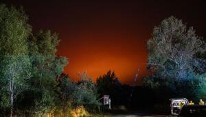 Waldbrand in Belgien
