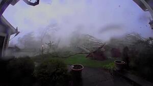 Binnen Sekunden: Tornado ebnet Familiengarten ein