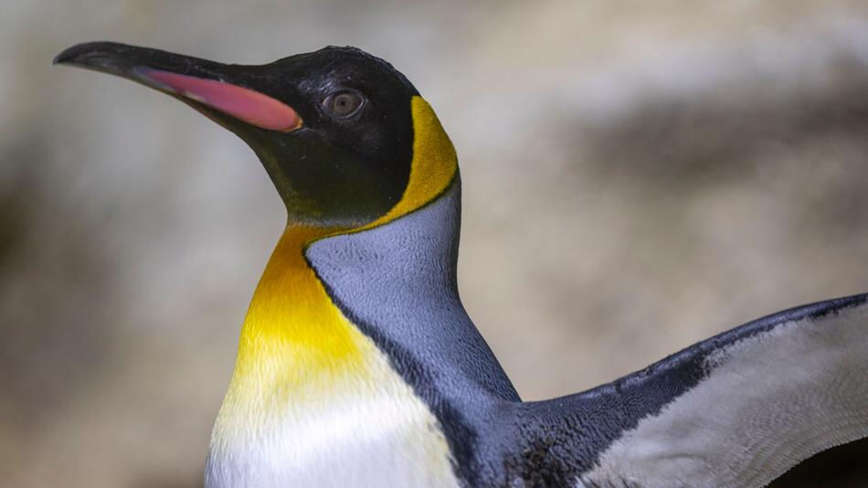 Tierpark Hellabrunn